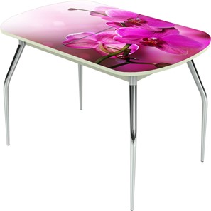 Кухонный стол раздвижной Ривьера исп.2 ноги метал. крашеные №24 Фотопечать (Цветы №16) в Самаре