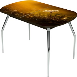 Кухонный стол раскладной Ривьера исп.2 ноги метал. крашеные №24 Фотопечать (Цветы №43) в Сызрани