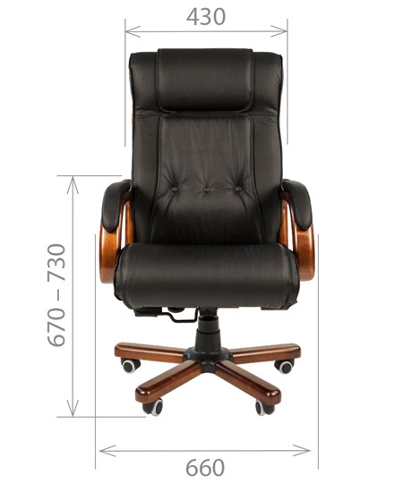 Кресло офисное CHAIRMAN 653 кожа черная в Самаре - изображение 1