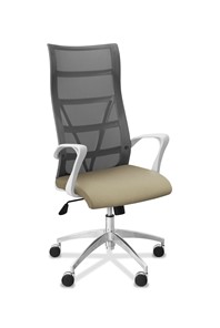 Офисное кресло для руководителя Топ X белый каркас, сетка/ткань TW / серая/светло-серая в Тольятти - предосмотр