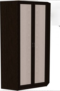 Распашной шкаф 403 несимметричный, цвет Венге в Самаре - предосмотр