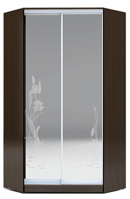 Шкаф-купе 2300х1103, ХИТ У-23-4-66-01, цапля, 2 зеркала, венге аруба в Тольятти - изображение