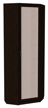 Распашной шкаф 402 угловой со штангой, цвет Венге в Сызрани - изображение
