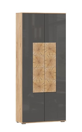 Шкаф двухстворчатый Фиджи с декоративными накладками 659.310, Дуб Золотой/Антрацит в Самаре - изображение