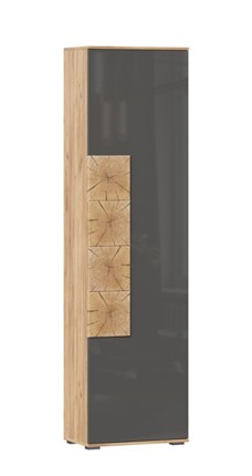 Шкаф одностворчатый Фиджи с декоративными накладками 659.300, Дуб Золотой/Антрацит в Тольятти - изображение