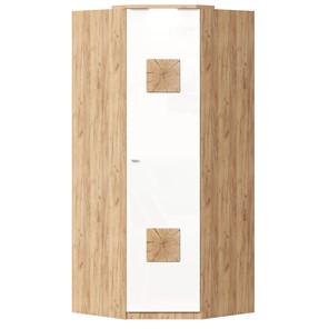 Шкаф угловой 45 с декоративной накладкой Фиджи, 659.248, белый в Самаре - предосмотр