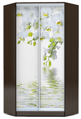 Шкаф угловой 2300х1103, ХИТ У-23-4-77-05, Белая орхидея, венге в Тольятти - изображение