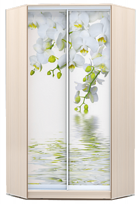 Шкаф угловой 2300х1103, ХИТ У-23-4-77-05, Белая орхидея, дуб млечный в Самаре - изображение
