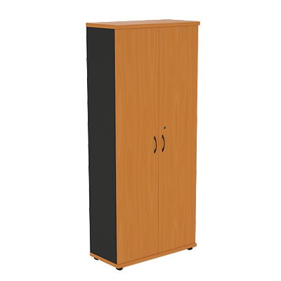Шкаф 2-дверный Моно-Люкс R5S05 в Самаре - изображение