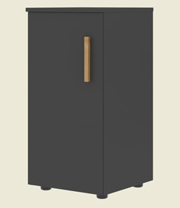 Низкий шкаф колонна с левой дверью FORTA Черный Графит FLC 40.1 (L) (399х404х801) в Тольятти - предосмотр