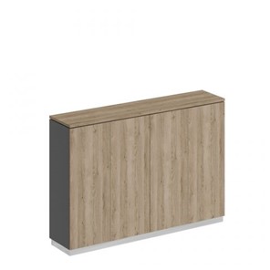 Шкаф для документов закрытый средний Speech Cube (180.2x40x124.6) СИ 320 ДС АР ДС в Самаре