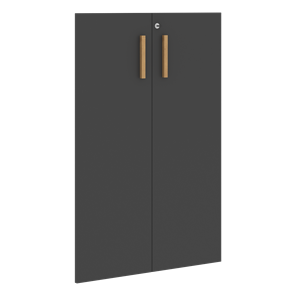 Средние двери для шкафов с замком FORTA Черный Графит FMD 40-2(Z) (794х18х1164) в Тольятти