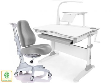 Растущая парта + стул Mealux EVO Evo-30 G (арт. Evo-30 G + Y-528 G) (дерево)/(стол+полка+кресло+чехол+лампа)/ белая столешница (дерево), цвет пластика серый в Самаре