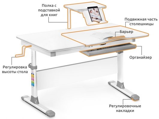 Детский стол-трансформер Mealux Evo-40 Lite, Зеленый в Тольятти - изображение 1