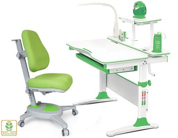 Растущая парта + стул Комплект Mealux EVO Evo-30 Z (арт. Evo-30 Z + Y-110 KZ), серый, зеленый в Самаре