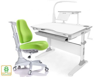 Растущая парта + стул Mealux EVO Evo-30 G (арт. Evo-30 G + Y-528 KZ) (дерево)/(стол+полка+кресло+чехол+лампа)/ белая столешница (дерево), цвет пластика серый в Самаре